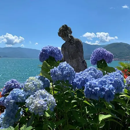Campeggio View