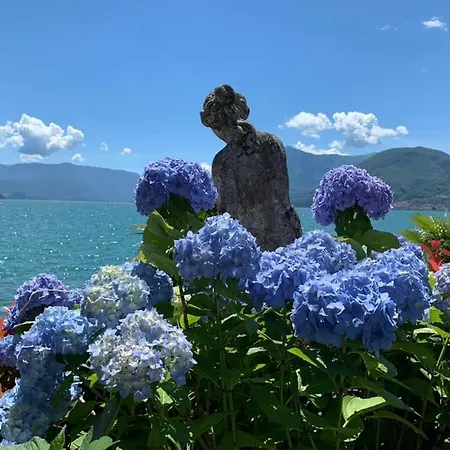 营地 Bungalow Lake View